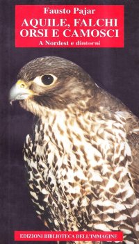 Immagine copertina libro Aquile, falchi, orsi, camosci a nordest e dintorni