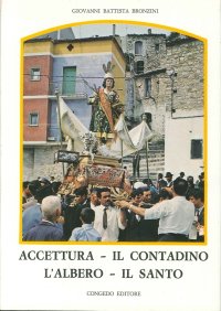Immagine copertina libro Accettura. Il contadino, l'albero, il santo