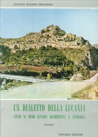 Immagine copertina libro Un dialetto della Lucania. Studi su Muro Lucano