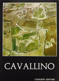 Immagine copertina libro Cavallino. Scavi e ricerche (1964-1967)