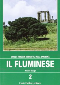 Immagine copertina libro Il fluminese