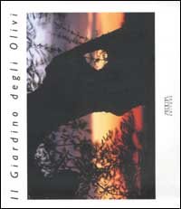 Immagine copertina libro Il giardino degli Olivi