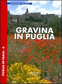Immagine copertina libro Gravina in Puglia