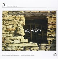 Immagine copertina libro La pietra