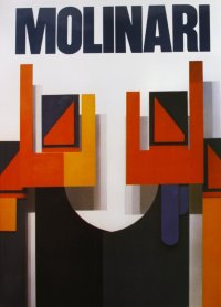 Immagine copertina libro Molinari