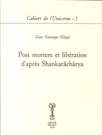 Immagine copertina libro Post mortem et libération d'après Shankarâchârya