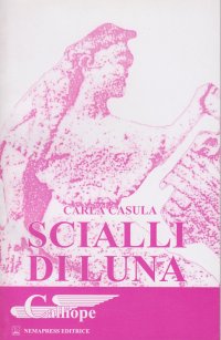 Immagine copertina libro Scialli di luna
