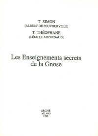 Immagine copertina libro Les enseignements secrets de la gnose