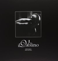 Immagine copertina libro Il violino