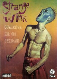 Immagine copertina libro Strange wink
