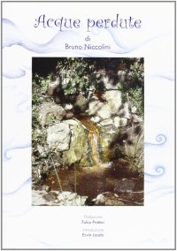 Immagine copertina libro Acque perdute