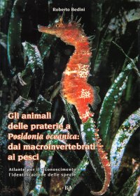 Immagine copertina libro Gli animali delle praterie a Poseidonia oceanica: dai macroinvertebrati ai pesci. Atlante per il riconoscimento e l'identificazione delle specie