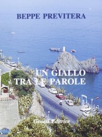 Immagine copertina libro Un giallo tra le parole