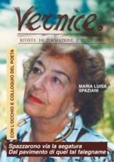 Immagine copertina libro Vernice. Rivista di formazione e cultura. Vol. 27-28