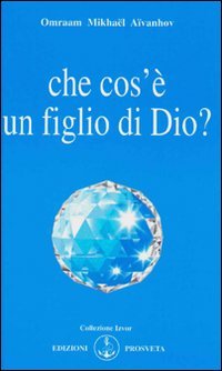 Immagine copertina libro Che cos'è un figlio di Dio?