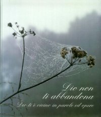 Immagine copertina libro Dio non ti abbandona. Dio ti è vicino in parole ed opere