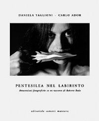 Immagine copertina libro Pentasilea nel labirinto. Annotazioni fotografiche su un racconto di Roberto Roda