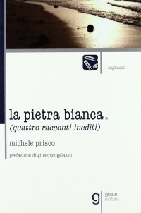 Immagine copertina libro La pietra bianca