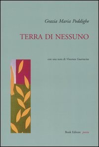 Immagine copertina libro Terra di nessuno