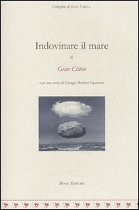 Immagine copertina libro Indovinare il mare