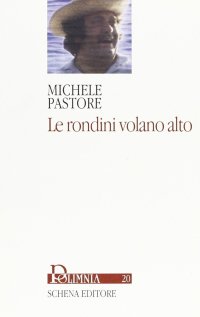 Immagine copertina libro Le rondini volano alto