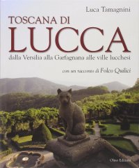 Immagine copertina libro Toscana di Lucca. Dalla Versilia alla Garfagnana alle ville lucchesi. Ediz. illustrata