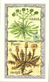 Immagine copertina libro Piante di energia