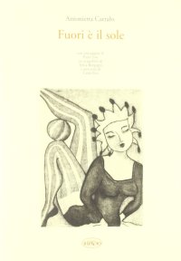 Immagine copertina libro Fuori è il sole