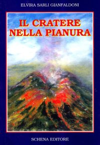 Immagine copertina libro Il cratere nella pianura