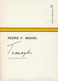 Immagine copertina libro Tussanghe. Sintesi epistemologica di filosofia africana