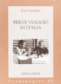 Immagine copertina libro Breve viaggio in Italia