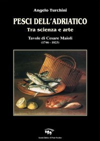 Immagine copertina libro Pesci dell'Adriatico. Tra scienza e arte