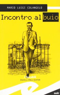 Immagine copertina libro Incontro al buio