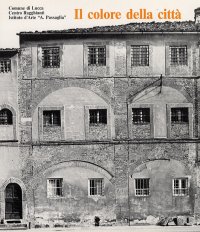 Immagine copertina libro Il colore della città. Rilevamenti e proposte