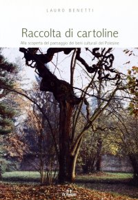 Immagine copertina libro Raccolta di cartoline. Alla scoperta del paesaggio dei beni culturali del Polesine