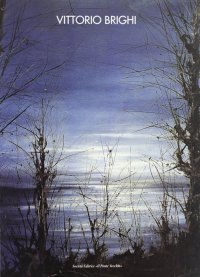 Immagine copertina libro Vittorio Brighi