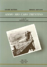 Immagine copertina libro Addio mio caro Trentino. Carteggio (luglio 1914-maggio 1915)