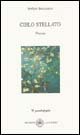 Immagine copertina libro Cielo stellato