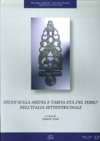 Immagine copertina libro Studi sulla media e tarda età del ferro nell'Italia settentrionale
