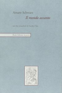 Immagine copertina libro Il mondo accanto