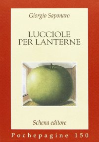 Immagine copertina libro Lucciole per lanterne