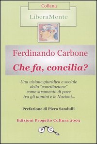 Immagine copertina libro Che fa, concilia?