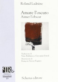 Immagine copertina libro Amare l'oscuro-Aimer l'obscur