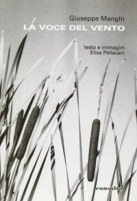 Immagine copertina libro La voce del vento