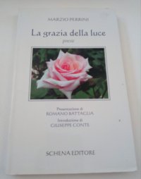 Immagine copertina libro La grazia della luce