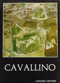 Immagine copertina libro Cavallino. Scavi e ricerche (1964-1967)