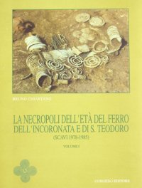 Immagine copertina libro La necropoli dell'età del ferro dell'Incoronata e di S. Teodoro (scavi 1978-1985). Vol. 1