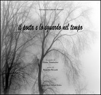 Immagine copertina libro Il poeta e lo sguardo nel tempo