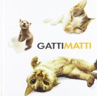 Immagine copertina libro Gatti matti. Ediz. illustrata