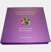 Immagine copertina libro Marco Ambrosi. 